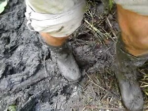 Green rubber boots in deep mud 2