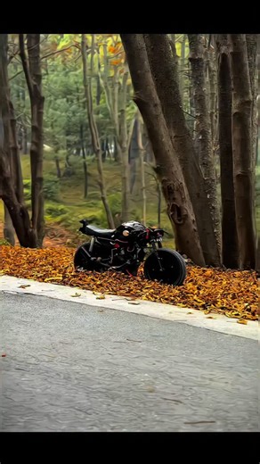 ‍ on Instagram: "Batmobile🦇 - - - #caferace #scramble #motorcycle #insanebikes"