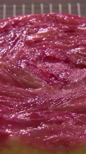 Rhubarb Upside Down Cake with Martha Stewart