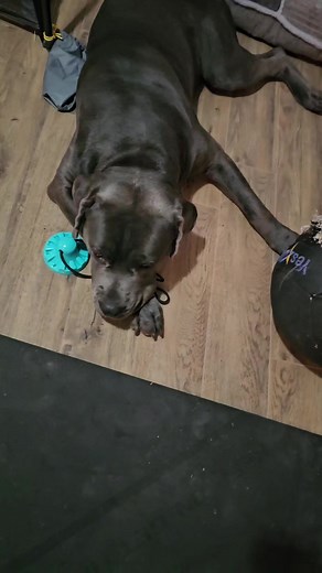 3.2K views · 573 reactions | We did better than yesterday. A win is a win殺 | Latoya Greene | Facebook