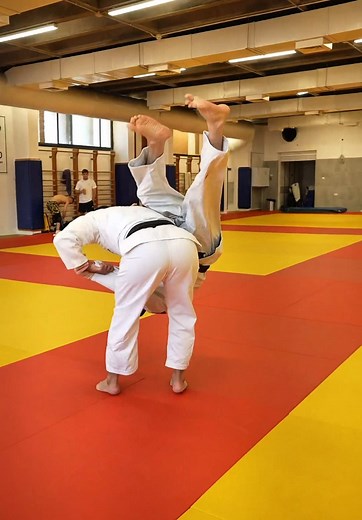 Exploring the Differences Between BJJ and Judo