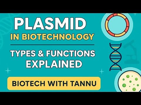 Plasmids Explained | Structure, Function & Role in Biotechnology | Biotech With Tannu