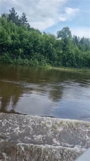 Wild Beauty of the Vitim River 🌿🌊 | Peaceful Taiga Waters #shorts