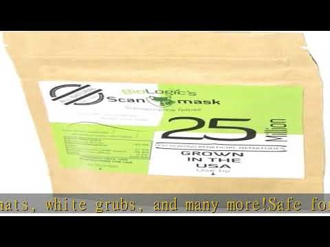 BioLogic Scanmask Beneficial Nematodes, Steinernema feltiae Sf Nematodes for Natural Insect Pest Co