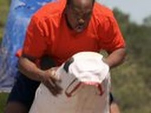 A Wipeout Feeding Frenzy - Wipeout