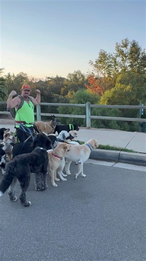 DOGEX:Drew’s reactivity training SUCCESS #dog #poop #dogtraining #success