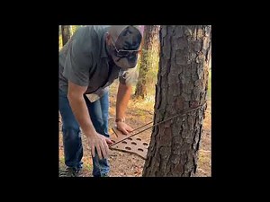 Tree Seat, Dean Torges Style #hunting #sports #diy #entertainment