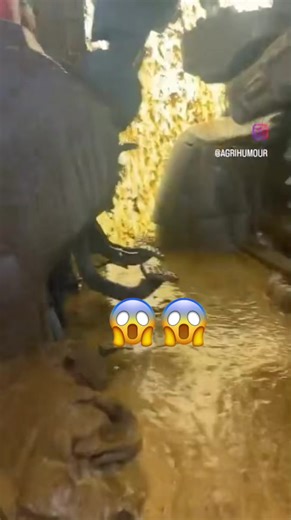 Cleaning Up After a Tractor Fail