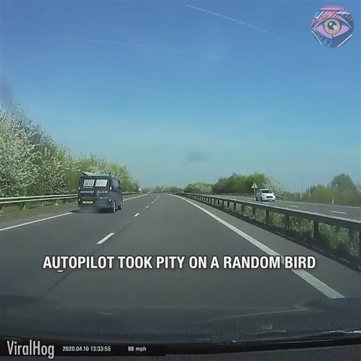 102K views · 11 reactions | When robot is more humane than some humans凉 | SLICK SLIME SAM | Facebook