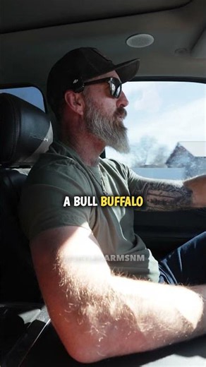 Buffalo ranching is not simple 😬