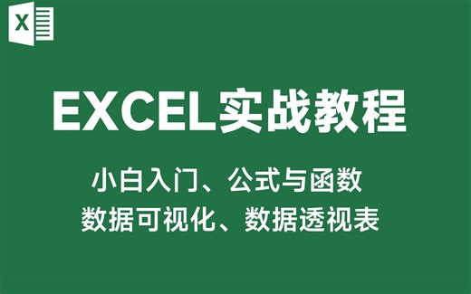 【2025年最新课程】Excel基础 Excel公式与函数 Excel数据可视化 Excel数据透视表，88个经典案例，学完你就牛了！