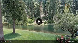 Quincy CA Webcam | Dude Ranch Quincy CA | Greenhorn Ranch