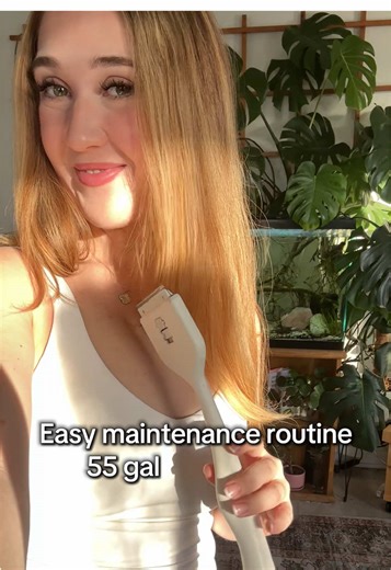 Perfect Aquarium Maintenance Routine for Freshwater Tanks