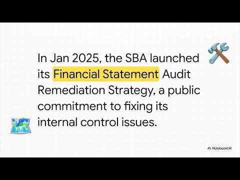 SBA's Audit Challenges