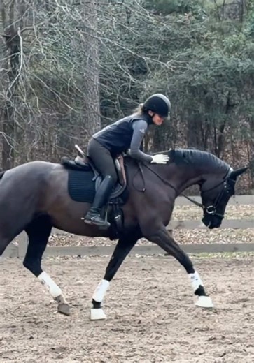 Happy New Year🎊 Lilly and I are in full training mode gearing up for the show season ahead. She has such a natural talent for the upper levels, the movements come so effortlessly to her. Now we’re building strength, developing new muscle, and making sure she’s confident and comfortable as we introduce new movements. #newyear #fypシ #2026 #trusttheprocess #dressage