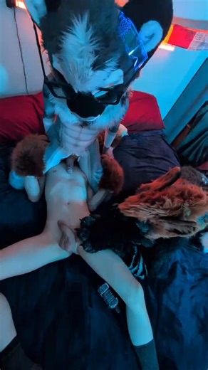 Repost if you want me to sit on your face... or if you like cats 😊 @Boot_Loops_AD 📸 - @HydraShaftoeAD #murrsuit #nsfw #rimming