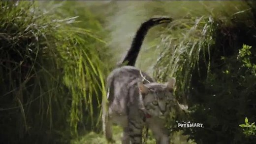 PetSmart TV Spot, 'Fun Outside' Song by Queen