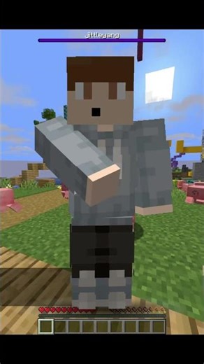 The Most Random Minecraft Servers...