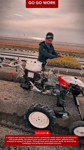 How a Transplanting Machine Plants Seedlings Efficiently #farming