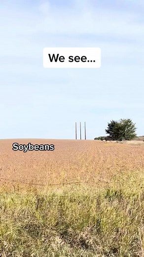1.5K views | What’s 홧홚홖홡홡홮 growing in Iowa’s fields? Most of us see corn and soybeans. Farmers see the food, feed, energy, and household items that those crops will become. #Iowa #IowaFarmer #Harvest2022 #FarmLife #Soybeans | Iowa Farm Bureau | Facebook