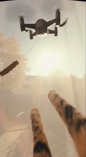 Epic Cat vs Drone Living Room Chase