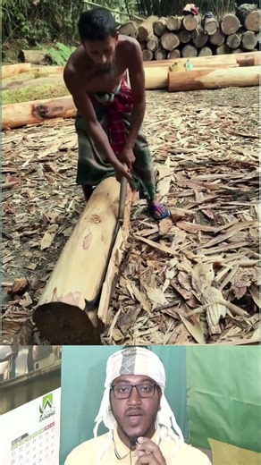 Old Method Log Cutting | পুরনো কৌশলে গাছের গুড়ি সাইজ করে কাটা হচ্ছে #shorts #logcutting #oldmethod