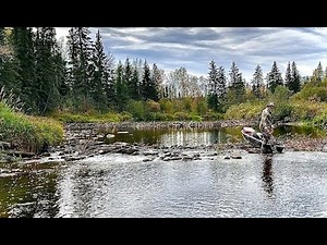 Traditional Bowhunting Moose