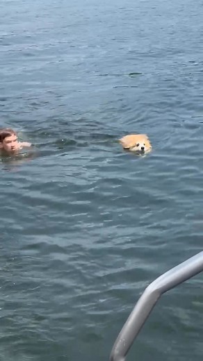 Cali swimming at Deep Creek Lake. | Cali's Curiosities