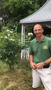 6.3K views · 42 reactions | How to take care of your roses | Garden World Nursery | Facebook