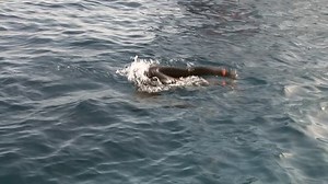 Woman Diver Dives Into Flippers Underwater Stock Footage Video (100% Royalty-free) 24471023 | Shutterstock