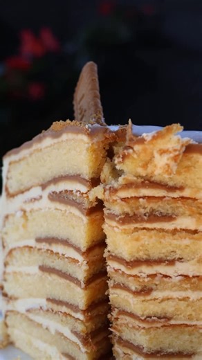 Geek House Eatery | What did we do….👀Two things you’d never think go together… until now 🍪🎂 Meet our Geeky cookie hiding our famous Biscoff cake inside 😍 ➡️... | Instagram