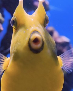 22K views · 369 reactions | Want to cruise? Sail away with amazing savings on cruises throughout the world. | AARP Member Benefits | Facebook