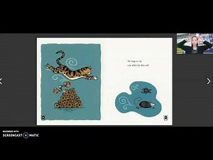 Library Cat Geode Reading