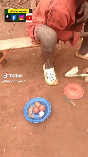 to cooking rat meat funny video#funniestvideo #kibobonyawe #comedy