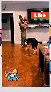 69K views · 1.8K reactions | Dogs playing with babies part 2 | Funny funny funny | Facebook