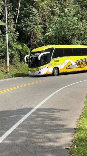 EMPRESA ARAUCA 11000 - 11009 Paradiso 1200 G7 Empresa Arauca, en alianza con Expreso Brasilia, ha incorporado unidades Marcopolo Paradiso 1200 New G7 a su flota para el transporte interdepartamental en Colombia. Estos buses modernos destacan por utilizar chasis Scania K410 Euro VI y Volvo B460R Euro 6 #BusTravelHinkapie #busesdecolombia🇨🇴😎📸 #transportepublico🚍 @jhonny @𝓙𝓾𝓷𝓲𝓸𝓻_𝓑𝓾𝓼𝓸𝓵𝓸𝓰𝓸 @El Omega Dog busologo🇨🇴 @JANEK-CALI💯