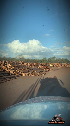 Is all the other mills across the U.S. full of wood? #trucking #logging #mill #hardtimes #survivor
