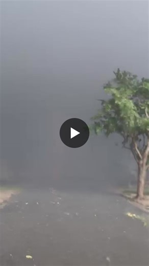 Lightning Strike Protection: Ensure Arrester Coordination is Right | Muhammad Arif posted on the topic | LinkedIn