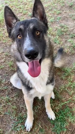 56 reactions · 96 shares | MORE PICS/VIDEO IN THE COMMENTS!!!!...