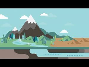 Water fluoridation in Washington: nature’s cavity fighter!