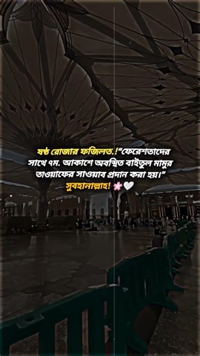 ষষ্ঠ রোজার ফজিলত.!“ফেরেশতাদের সাথে ৭ম. আকাশে অবস্থিত বাইতুল #ramadan#islamicvideo#viral #shorts