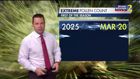 Atlanta pollen count hits 4 digits for first time this year