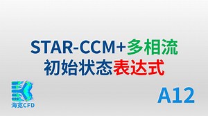 12 starccm多相流初始状态指定表达式
