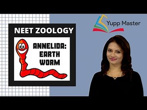 Animal Kingdom 9: Annelida: Earth Worm -(Ii) | NEET Zoology | Class XI | Dr.Sindur