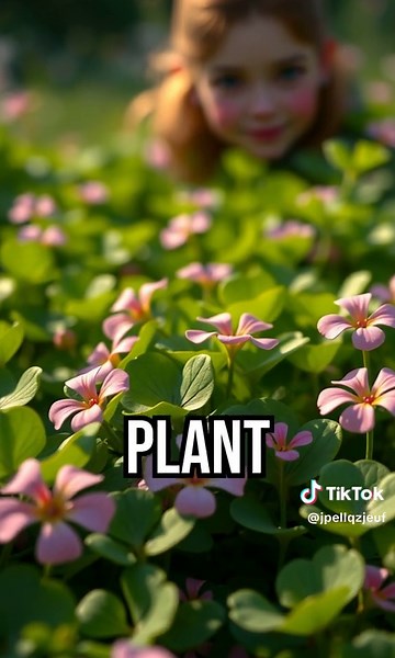 Clover: Nature's Fertilizer! #sustainability #farming #ecology