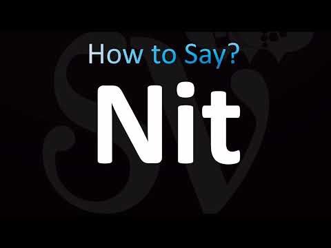 How to Pronounce Nit (CORRECTLY!)