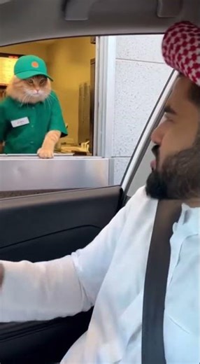 angry cat throws fast food at a customer | funny aggressive cat momentgrumpy cat gets mad and throws