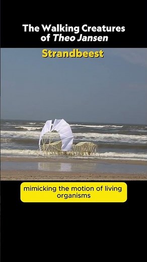 The Walking Creatures of Theo Jansen: Strandbeest #documentary #science #interesting