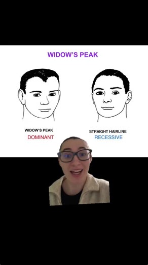 Understanding Genetics: The Widow's Peak Trait Explained