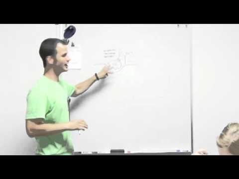 Osteoblast and Osteoclast